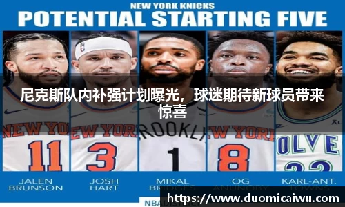 尼克斯队内补强计划曝光，球迷期待新球员带来惊喜
