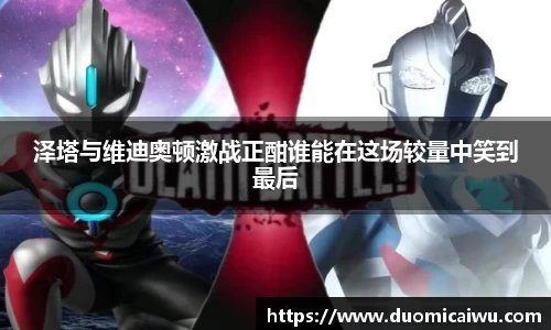 泽塔与维迪奥顿激战正酣谁能在这场较量中笑到最后