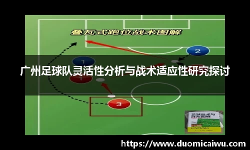 广州足球队灵活性分析与战术适应性研究探讨